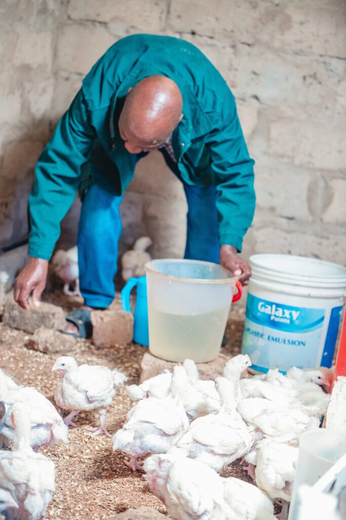 alick project 01 10 05 2025 (43)