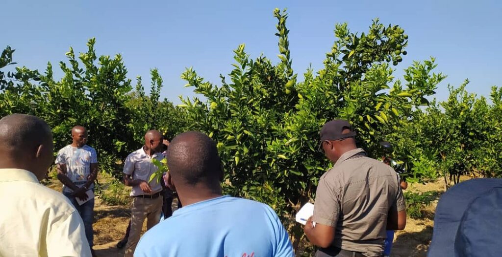 whatsapp image 2025 10 16 at 16.26.12 672fa43c